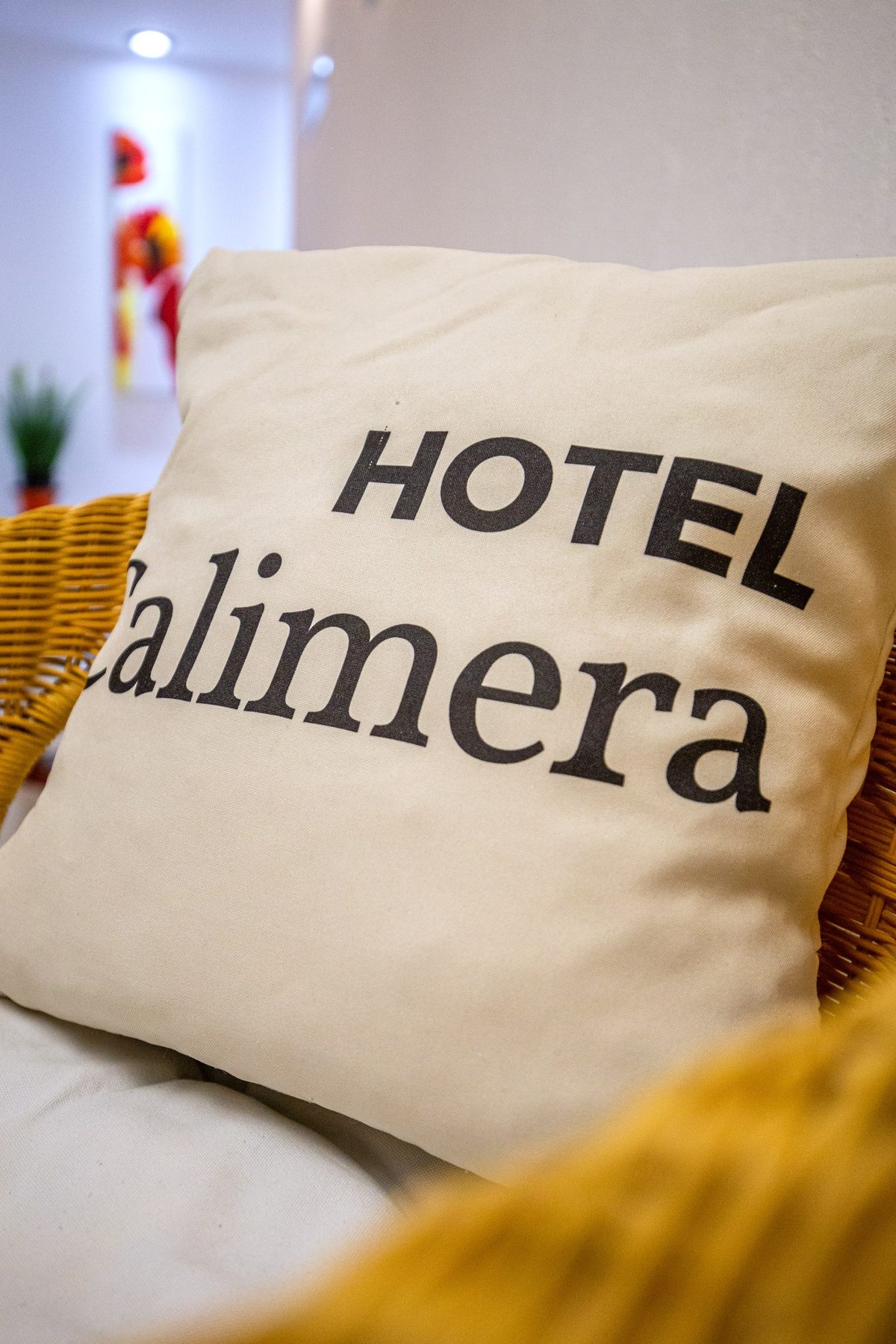 El almohadón de la casa
